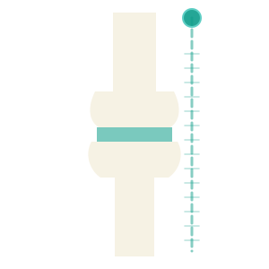 icon 4 orthopedics